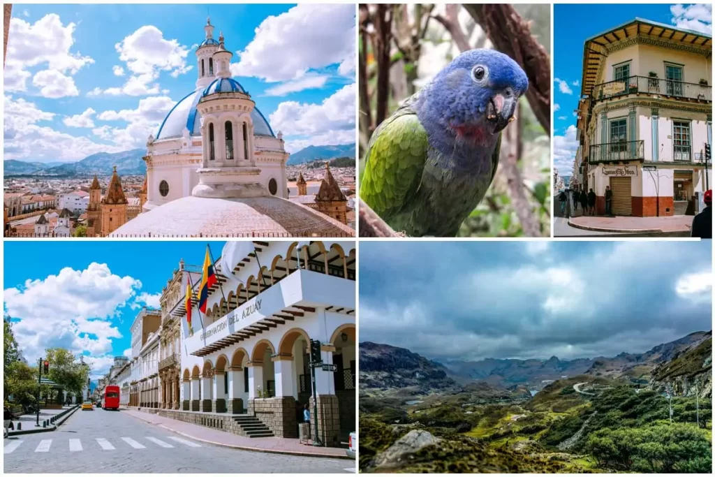 Encuentra en Hotel Fenix Cuenca respuestas a todas las preguntas sobre tu viaje a Cuenca